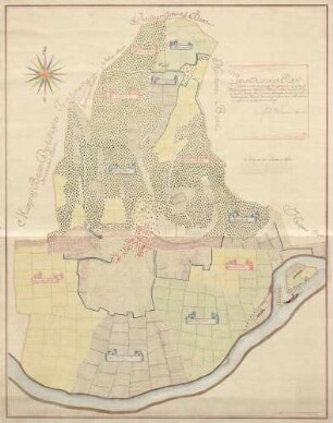 Geometrischer Plan über den in der Herrschaftl. Rheinfeldischen Landschaft Rheinthal gelegenen Wyhlermer Banns