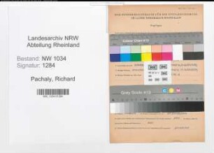 Entnazifizierung Richard Pachaly , geb. 31.03.1891 (Oberstleutnant)