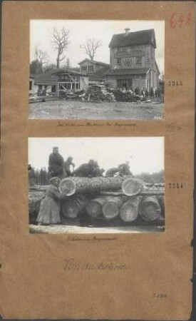 Im Walde von Bialowies: Das Bayernwerk