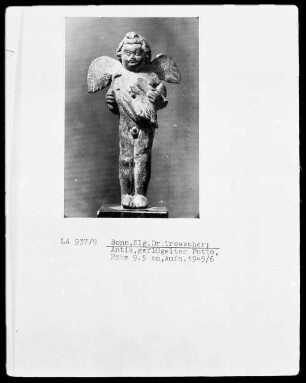 Geflügelter Putto