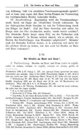 § 22. Die Strafen an Haut und Haar.