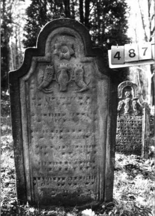 Grabstein 487 (Index: 99752890) Material: Sandstein Zustand: gut, Stele eingesunken Maße HxBxT: 75x44x8 cm Beschreibung: Stele, doppelt eingezogener Rundbogenabschluß, Schriftfeld eingetieft Symbolik: Muschel, Pinienzapfen an Zweigen mit Blätter: Grabstein 487