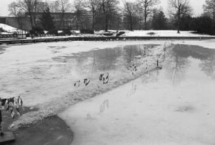 Winterstimmung im Stadtgarten