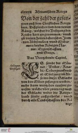 Das Viertzehende Capitel