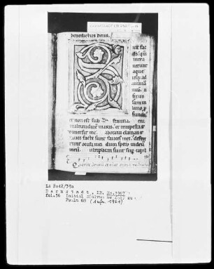 Psalterium — Initiale S (alvum me fao), Folio 56 recto