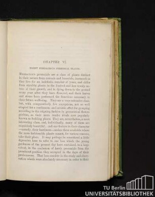 Chapter VI. Hardy herbaceous perennial plants.