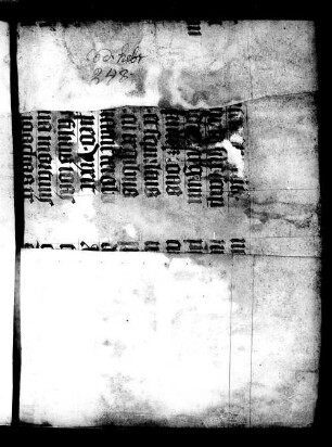 Fragment einer philosophierenden Schrift über Nefesh ha-ḥokhmah - BSB Cod.hebr. 248