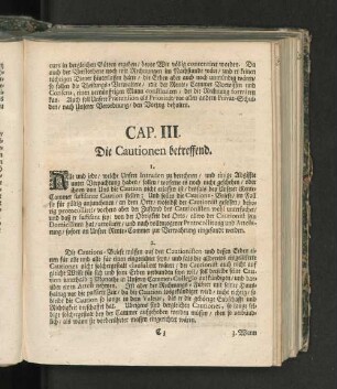 Cap. III. Die Cautionen betreffend.