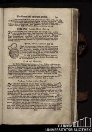 Cap. 26. Ambra, Ambra grysea.