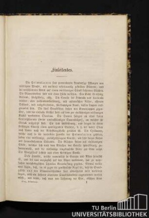 Einleitendes.