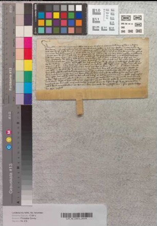 Abt Moritz von Corvey belehnt Gerd von Werdinghausen mit verschiedenen Gütern und Zehnten zu Stahle und Albaxen.