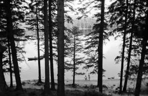 Mummelsee: Rund um den See; Seeufer, von oben
