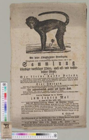 Sammlung lebendiger vierfüßiger Thiere