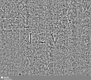 Lilienschild (gekrönt) / "ICV" = S.15/16