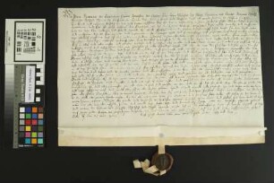 Heidesheim: Kaufbrief Heidesheim für Heinrich v. Stockheim