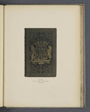 Plate LIII.