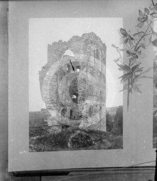 Ruine Neuhausen