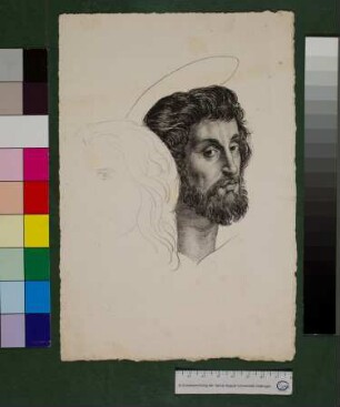 Kopf des Apostels Matthäus aus Raffaels Marienkrönung