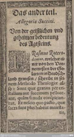 Das ander teil. Allegoria Succini.