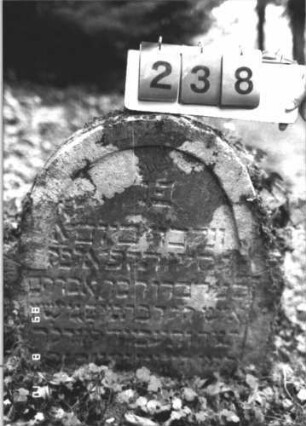 Grabstein 238 (Index: 99799949) Material: Sandstein Zustand: stark verwittert, eingesunken, teilw. Textverlust Maße HxBxT: 64x58x12 cm Beschreibung: Stele, eingezogener Rundbogenabschluß, Schriftfeld eingetieft: Grabstein 238