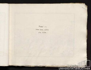 Num.° 11. Idem Arene comblée. Vol. XXII.