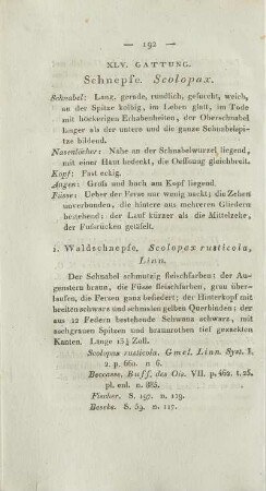 XLV. Gattung. Schnepfe. Scolopax