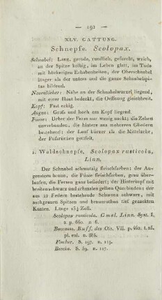 XLV. Gattung. Schnepfe. Scolopax