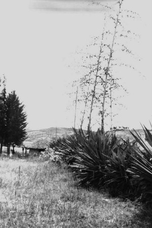 Bei Tequendama (Lateinamerika-Aufenthalte 1934/1942 - 2. Kolumbien 1934-1937)
