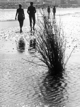 Nordseebad Duhnen. Urlauber bei einer Wattwanderung