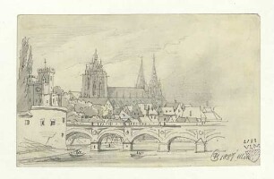 Ulm von Süden - Teilansicht Donaufront. 1881