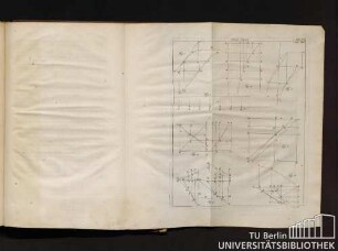 Tab. XIII. Fig. 1 bis Fig. 8.