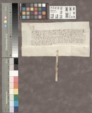 Echzell: Kaufbrief über den von Wilhelm Weise v. Fauerbach dem Alten verkauften Hof zu Echzell gelegen an Wilhelm Weise v. Fauerbach den Jungen, s...