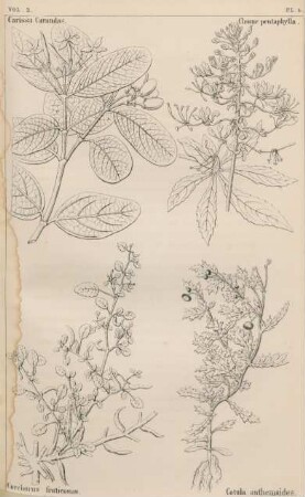 Vol. 2, Pl. 4