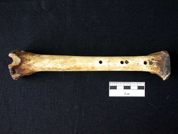 Bone flute