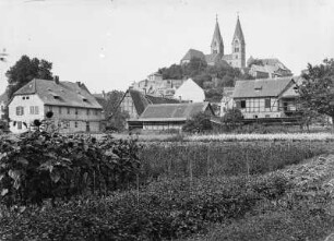 Quedlinburg, Schloss und Schlosskirche über Blumengärtnereien