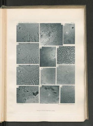 1c.