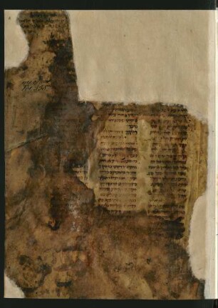 Sefer ha-terumah : Fragment