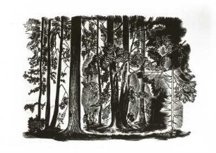 Waldinneres : Waldinneres (1926, N. I. Padalizyn; Holzstich; 96 x 134 mm)