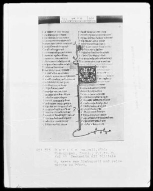 Roman de la Rose & Rosenroman — Initiale S, darin der Liebesgott und seine Barone zu Pferd, Folio 81recto