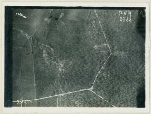 Foto des Waldes von Manheulles (Luftbild)