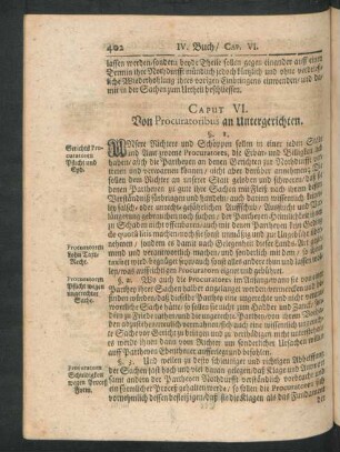 Caput VI. Von Procuratoribus an Untergerichten.
