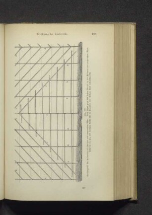 Fig. 179. Spaliergerüst für Palmetten mit schrägen...