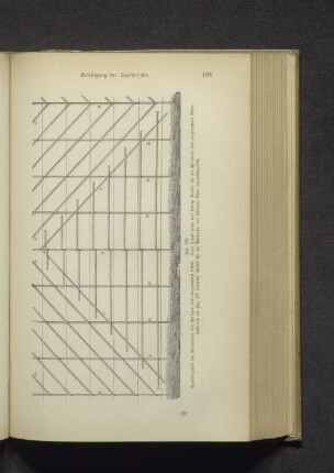 Fig. 179. Spaliergerüst für Palmetten mit schrägen...