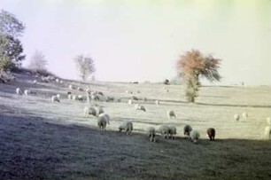Landschaftsbild unweit von Bankja
