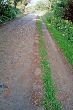 zwischen Mollhagen und Sprenge: Viehkatenstraße: mit Pflasterung, daneben Radweg: beiderseits Büsche, Bäume, Wiese: 15. Juni 1999