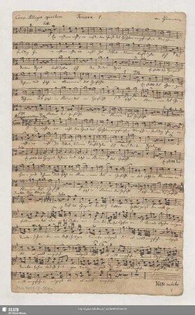 [Solo and coro:] Tenore 1.