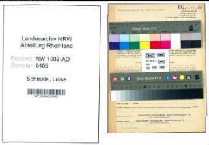 Entnazifizierung Luise Schmale, geb. 31.12.1892 (Pflegerin)