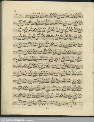 No.5.