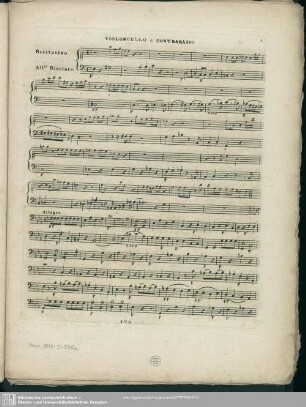 Violoncello e Contrabasso