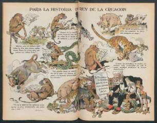 Para la historia del del Rey de la Creación - (Ilustración]